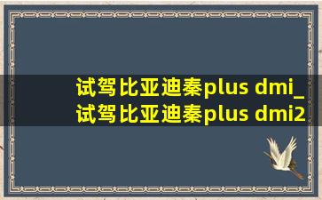 试驾比亚迪秦plus dmi_试驾比亚迪秦plus dmi2023款